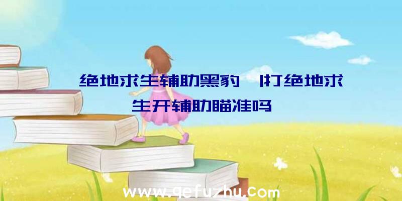 「绝地求生辅助黑豹」|打绝地求生开辅助瞄准吗